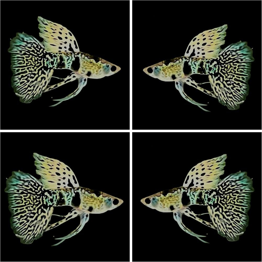 Tiger King Cobra Ribbon